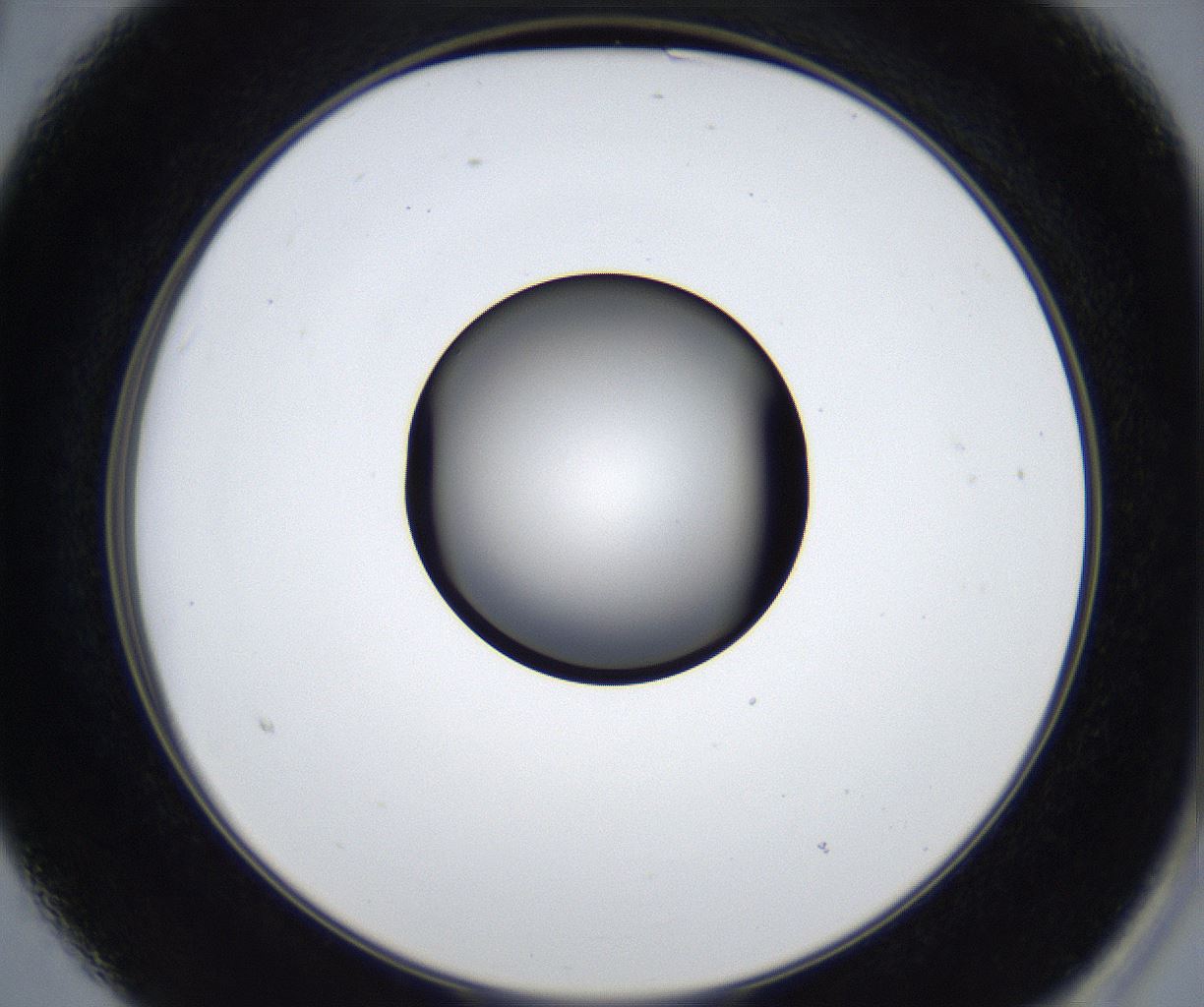 folderID627_plateID2627_batchID13256_wellNum15_profileID1_d2_r208455_ef.jpg