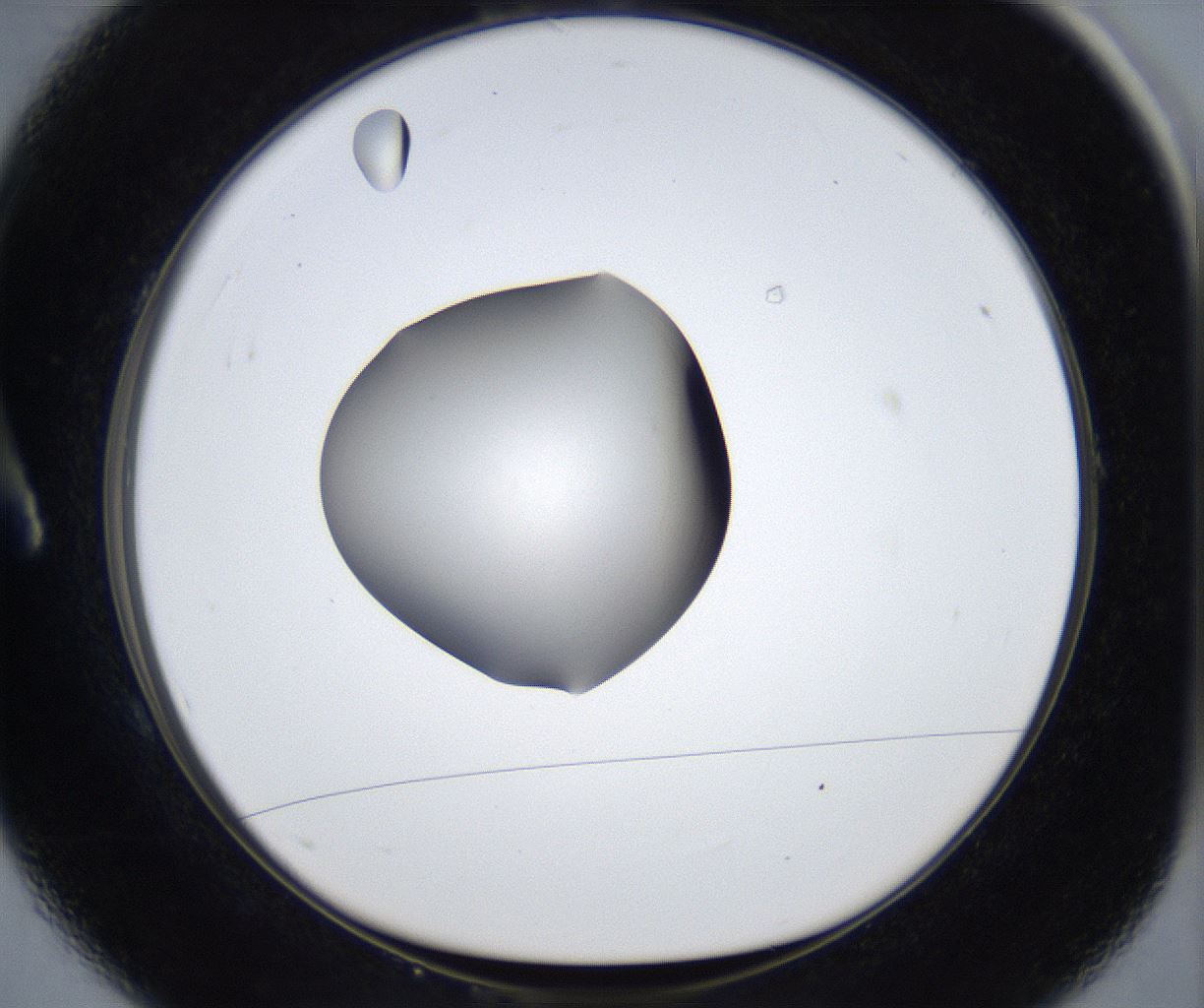folderID627_plateID2627_batchID13256_wellNum1_profileID1_d1_r208426_ef.jpg