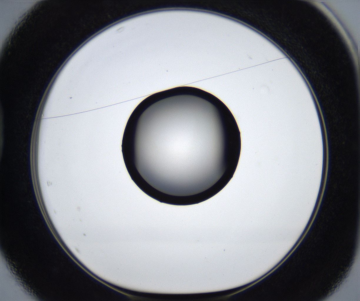 folderID627_plateID2627_batchID13256_wellNum37_profileID1_d1_r208498_ef.jpg