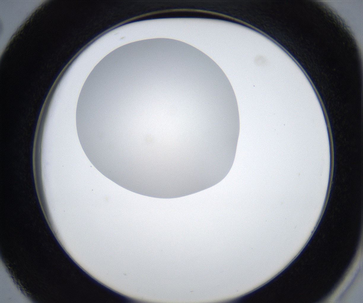 folderID627_plateID2627_batchID13256_wellNum38_profileID1_d2_r208501_ef.jpg