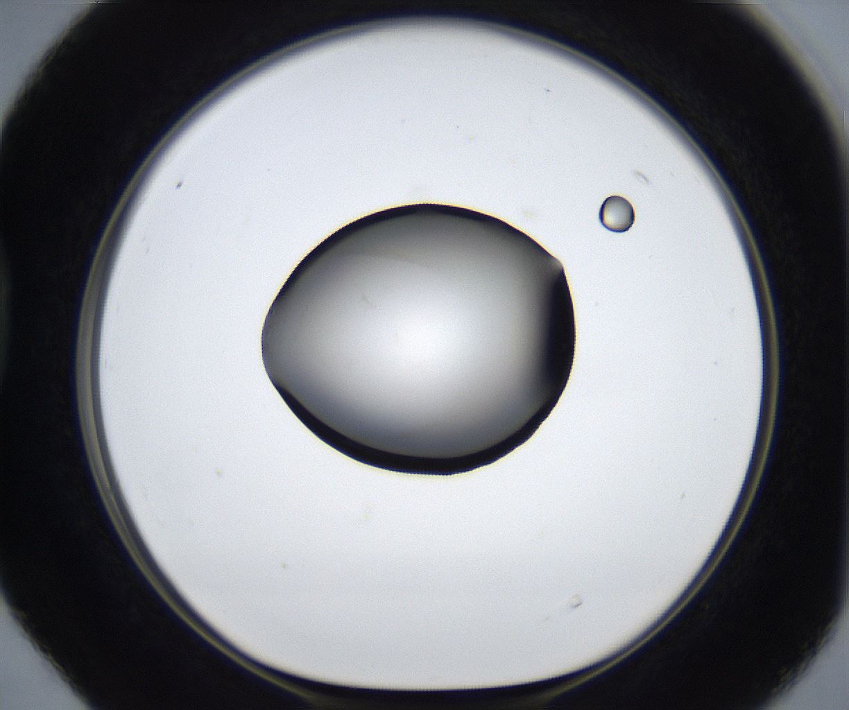 folderID627_plateID2627_batchID13256_wellNum40_profileID1_d1_r208504_ef.jpg