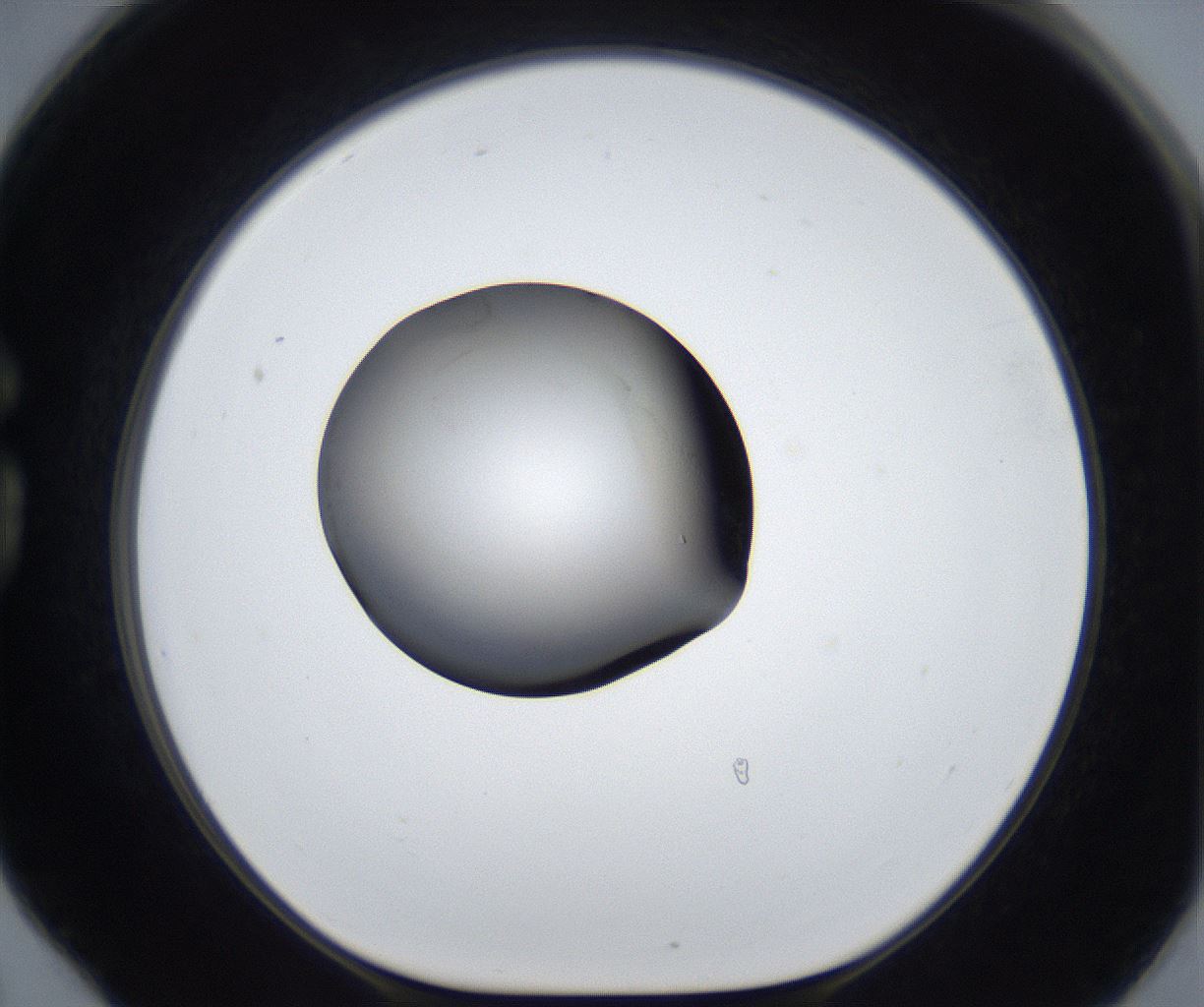 folderID627_plateID2627_batchID13256_wellNum78_profileID1_d1_r208580_ef.jpg