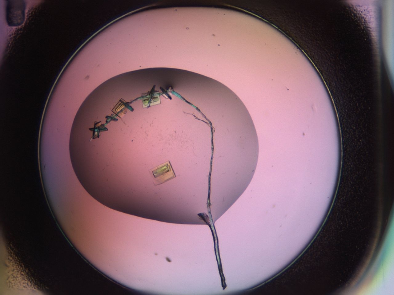 02g1_C11_ImagerDefaults_8.jpg