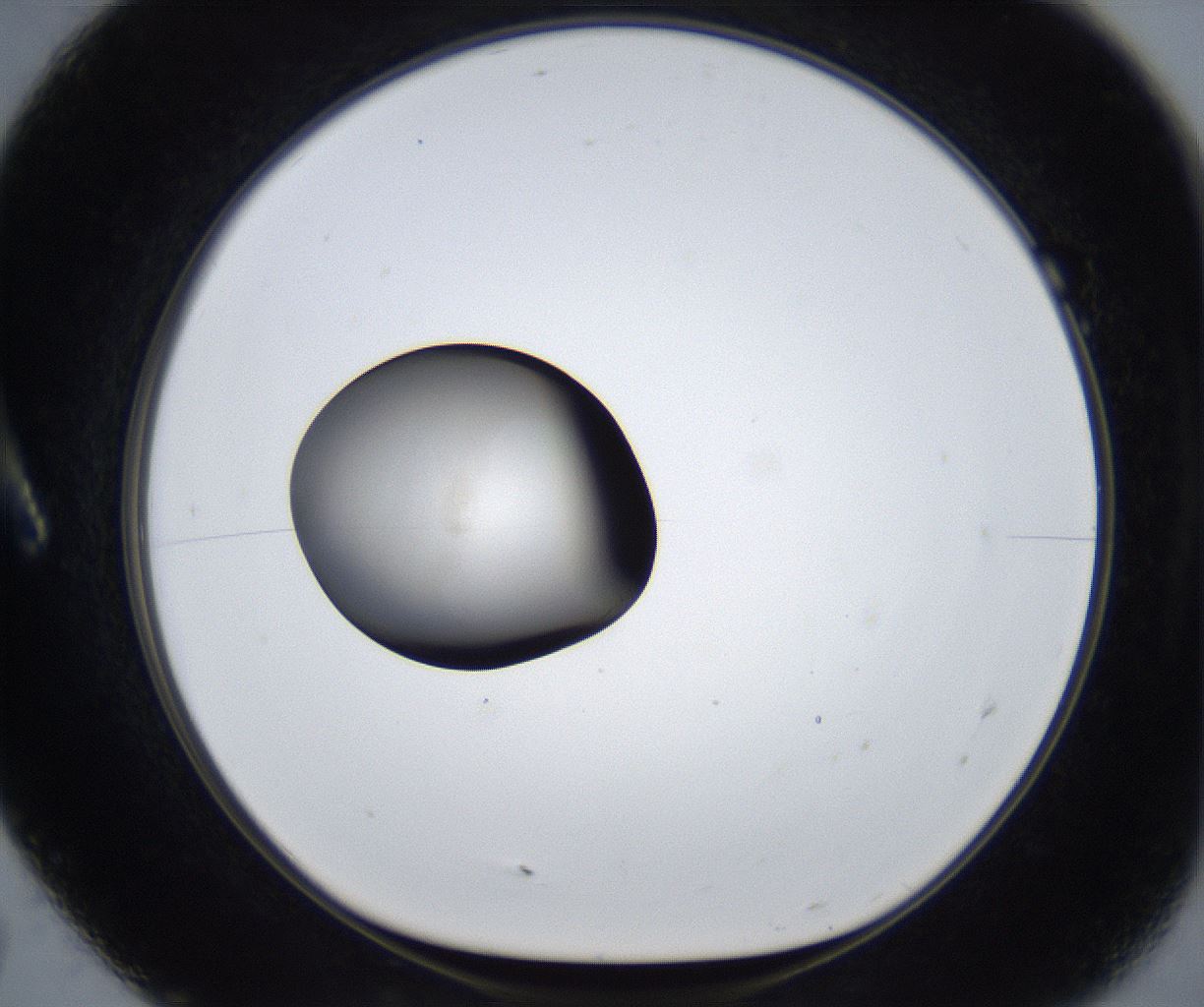 folderID627_plateID2627_batchID13256_wellNum7_profileID1_d1_r208438_ef.jpg