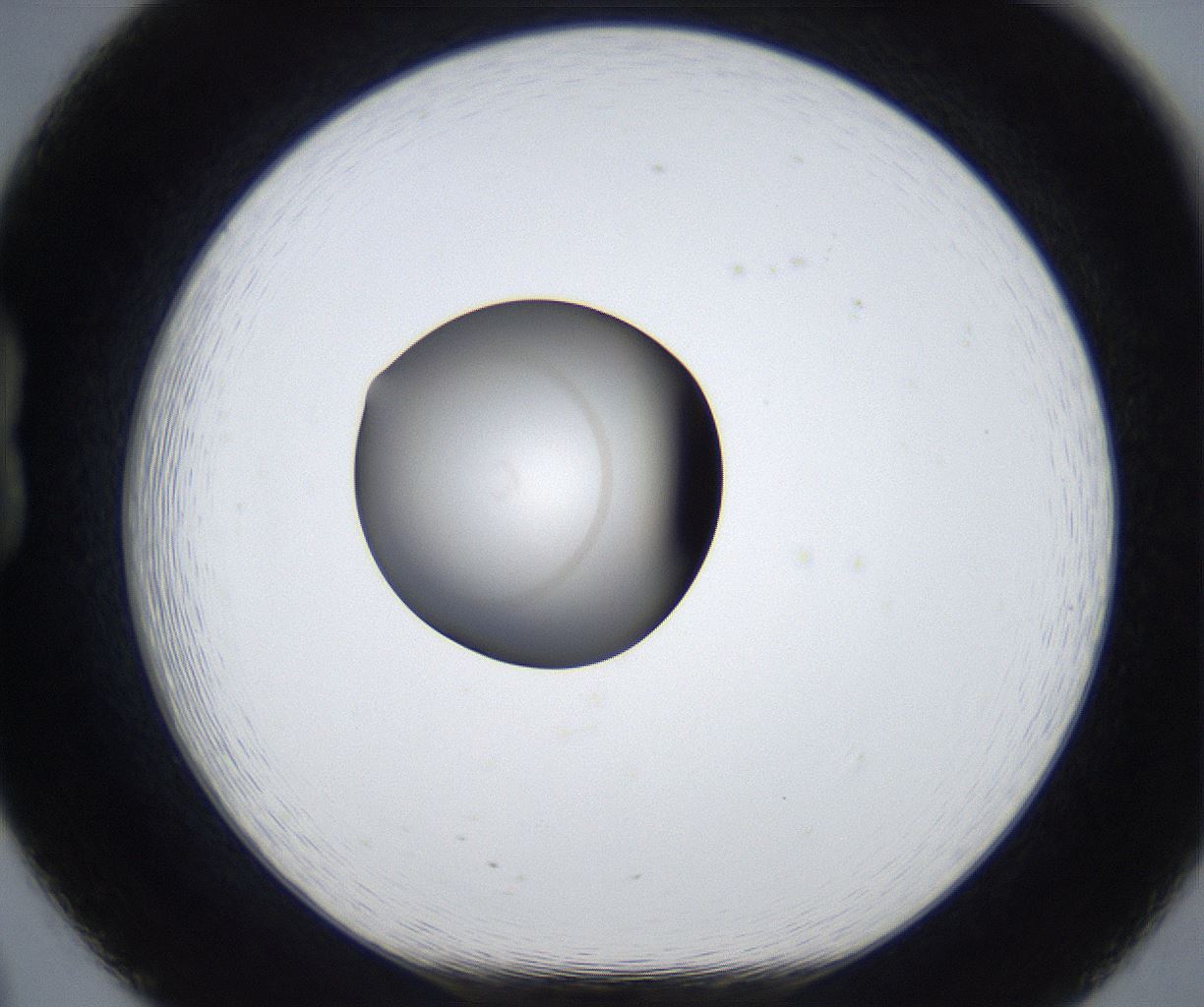 folderID627_plateID2627_batchID13256_wellNum20_profileID1_d1_r208464_ef.jpg