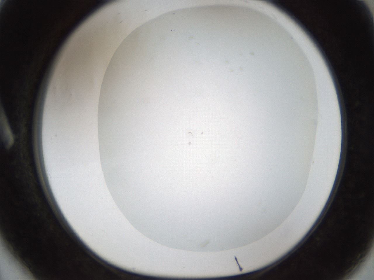 folderID211_plateID1211_batchID3654_wellNum6_profileID1_d1_r67338_ef.jpg