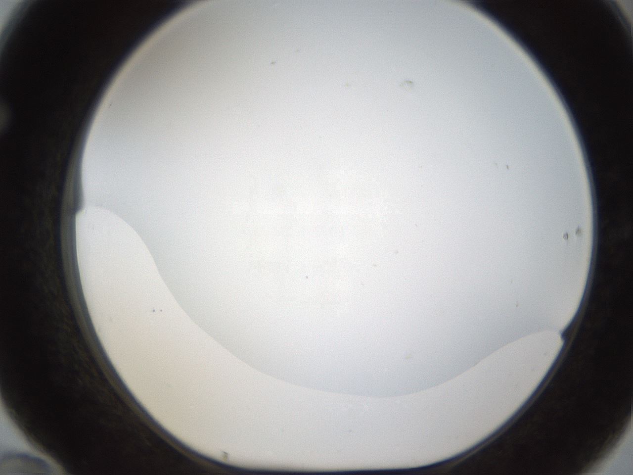 folderID211_plateID1211_batchID3654_wellNum70_profileID1_d1_r67466_ef.jpg