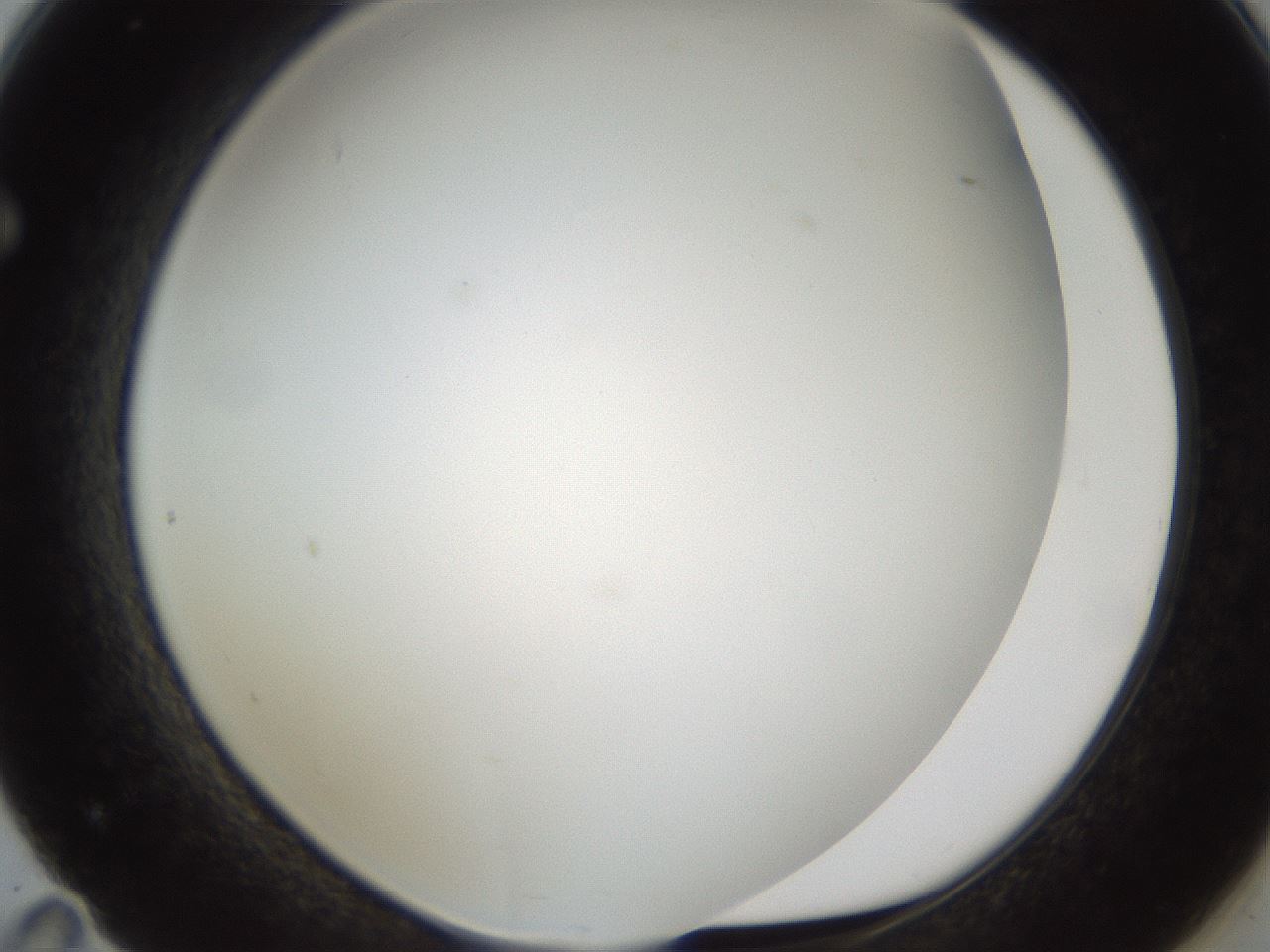 folderID211_plateID1211_batchID3654_wellNum71_profileID1_d1_r67468_ef.jpg