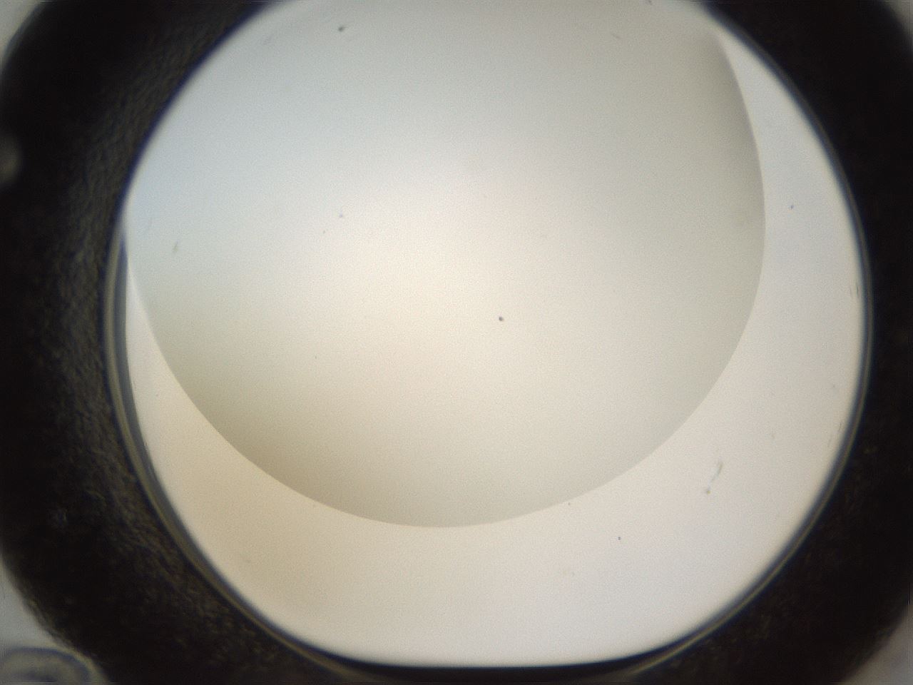 folderID211_plateID1211_batchID3654_wellNum72_profileID1_d1_r67470_ef.jpg