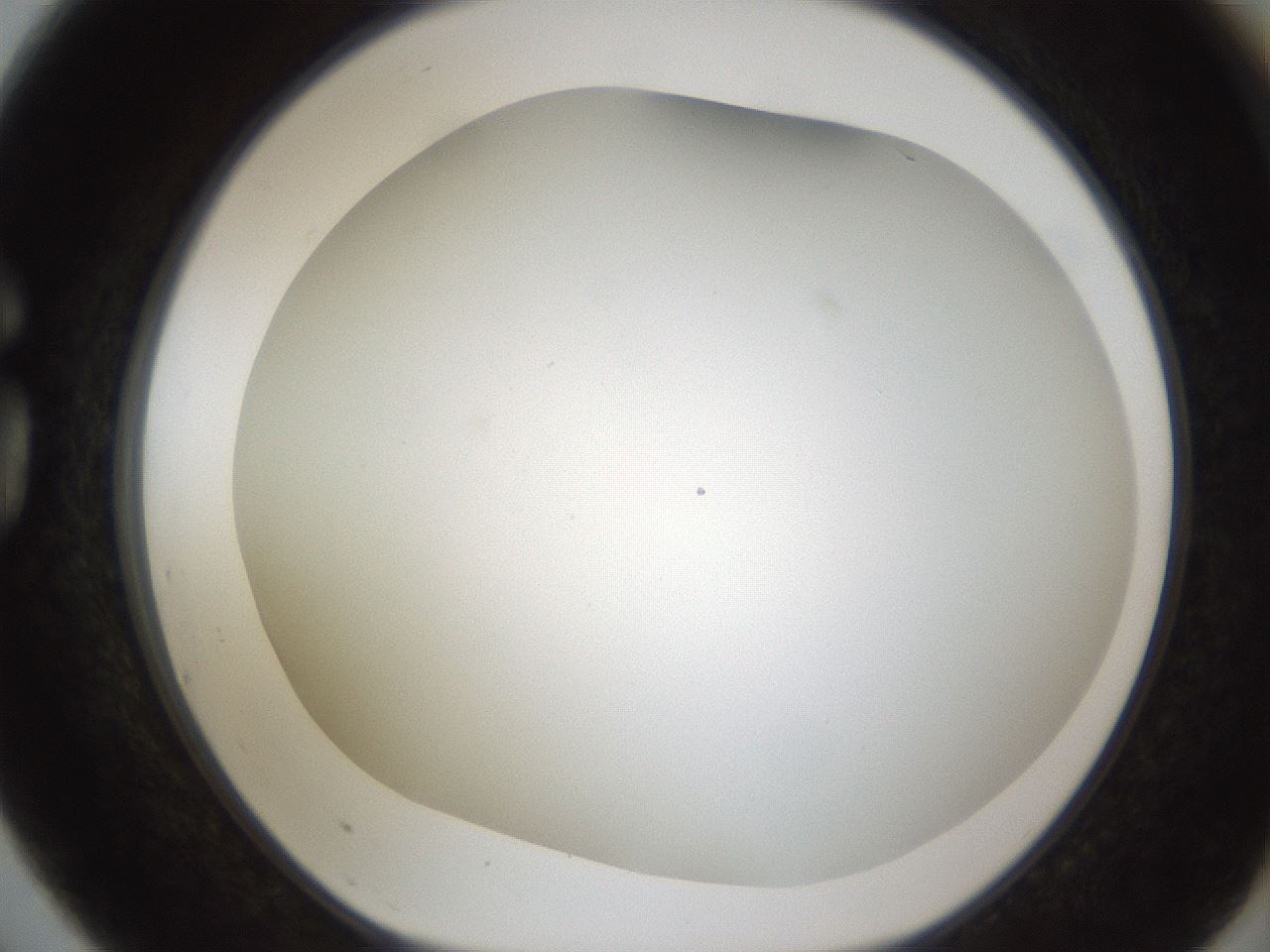 folderID211_plateID1211_batchID3654_wellNum75_profileID1_d1_r67476_ef.jpg