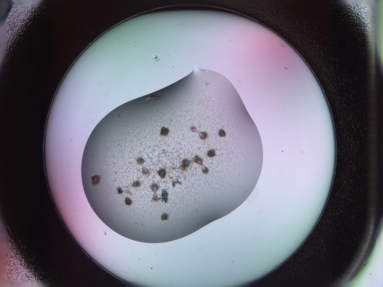 02g1_A5_ImagerDefaults_8.jpg