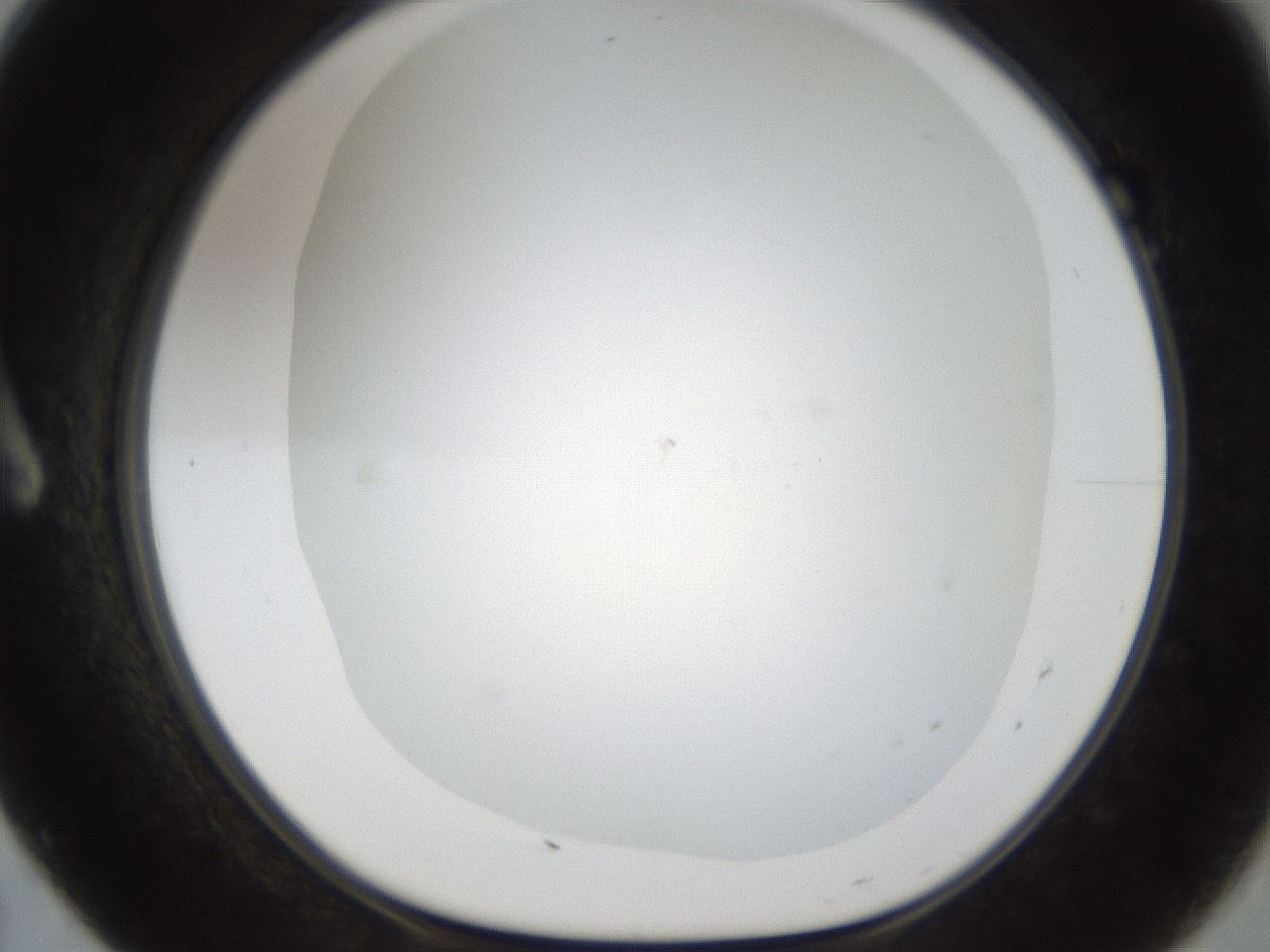 folderID211_plateID1211_batchID3654_wellNum7_profileID1_d1_r67340_ef.jpg
