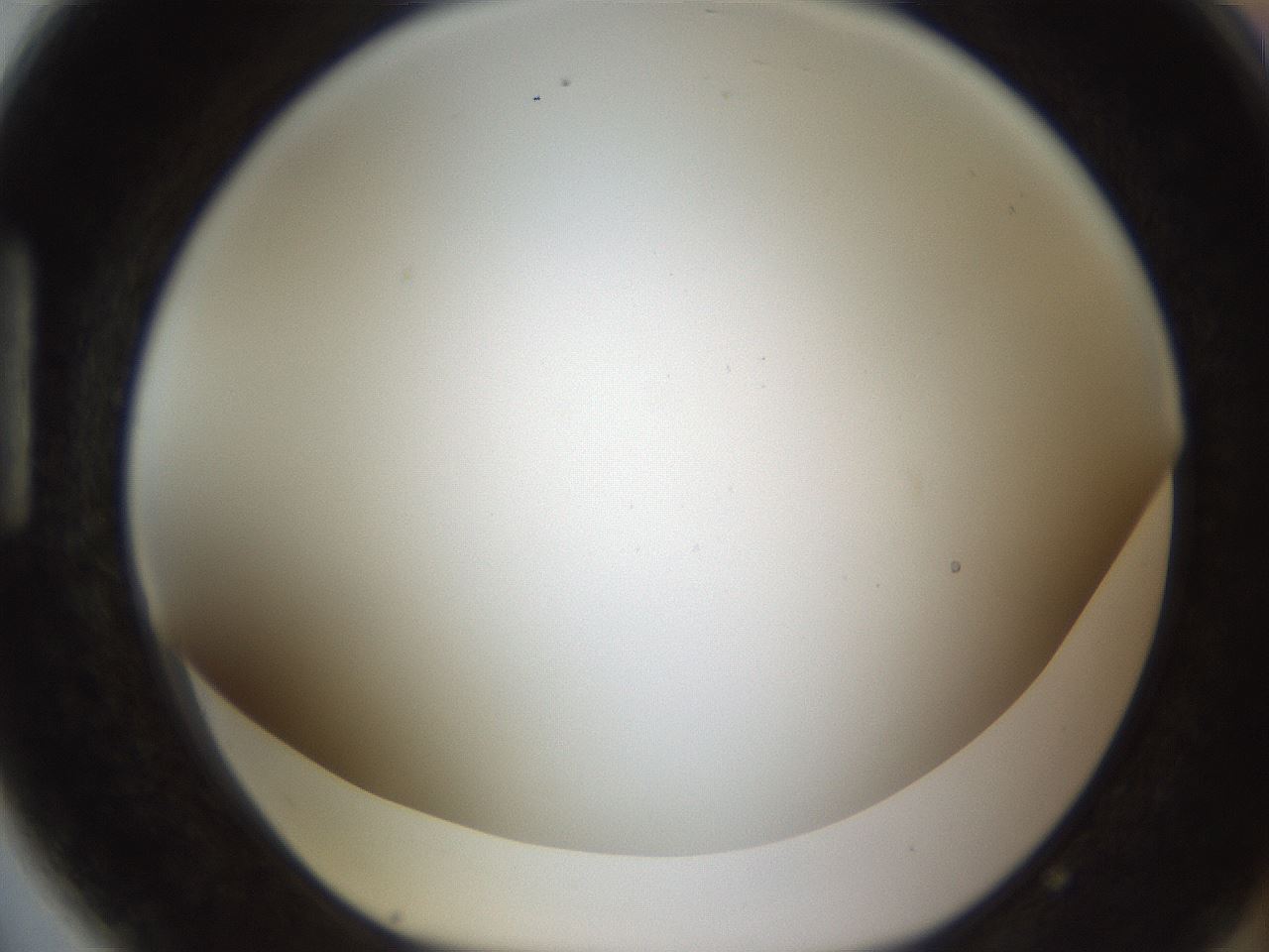 folderID211_plateID1211_batchID3654_wellNum89_profileID1_d1_r67504_ef.jpg