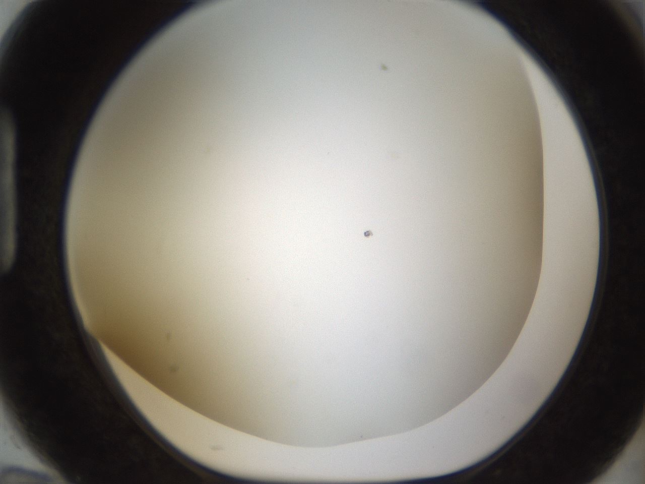 folderID211_plateID1211_batchID3654_wellNum94_profileID1_d1_r67514_ef.jpg