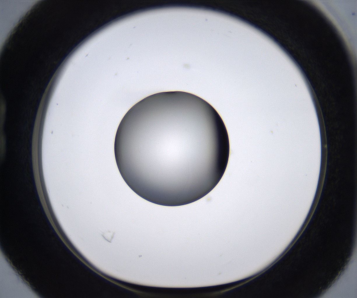folderID211_plateID2211_batchID10045_wellNum16_profileID1_d1_r150357_ef.jpg