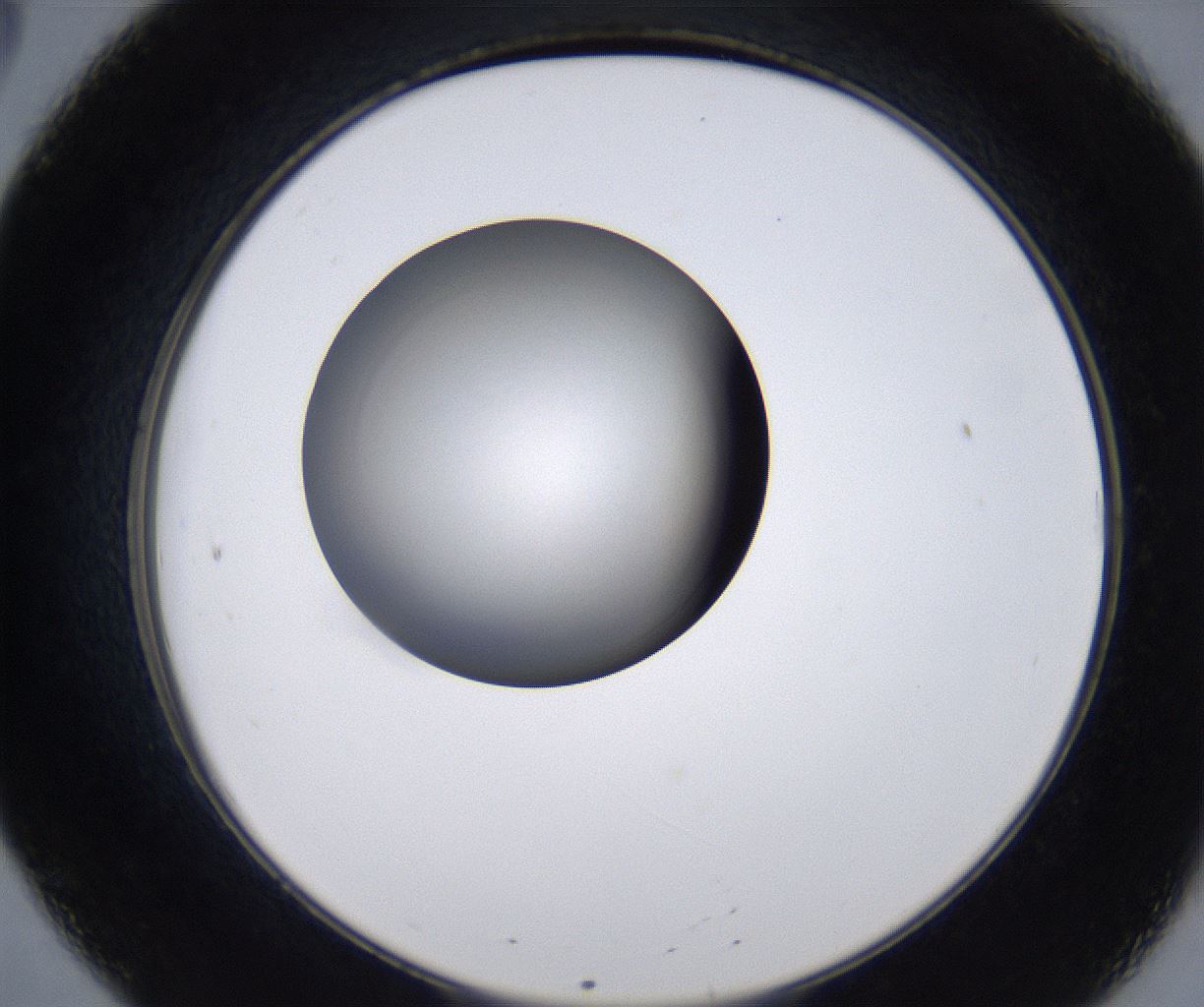 folderID211_plateID2211_batchID10045_wellNum20_profileID1_d2_r150366_ef.jpg