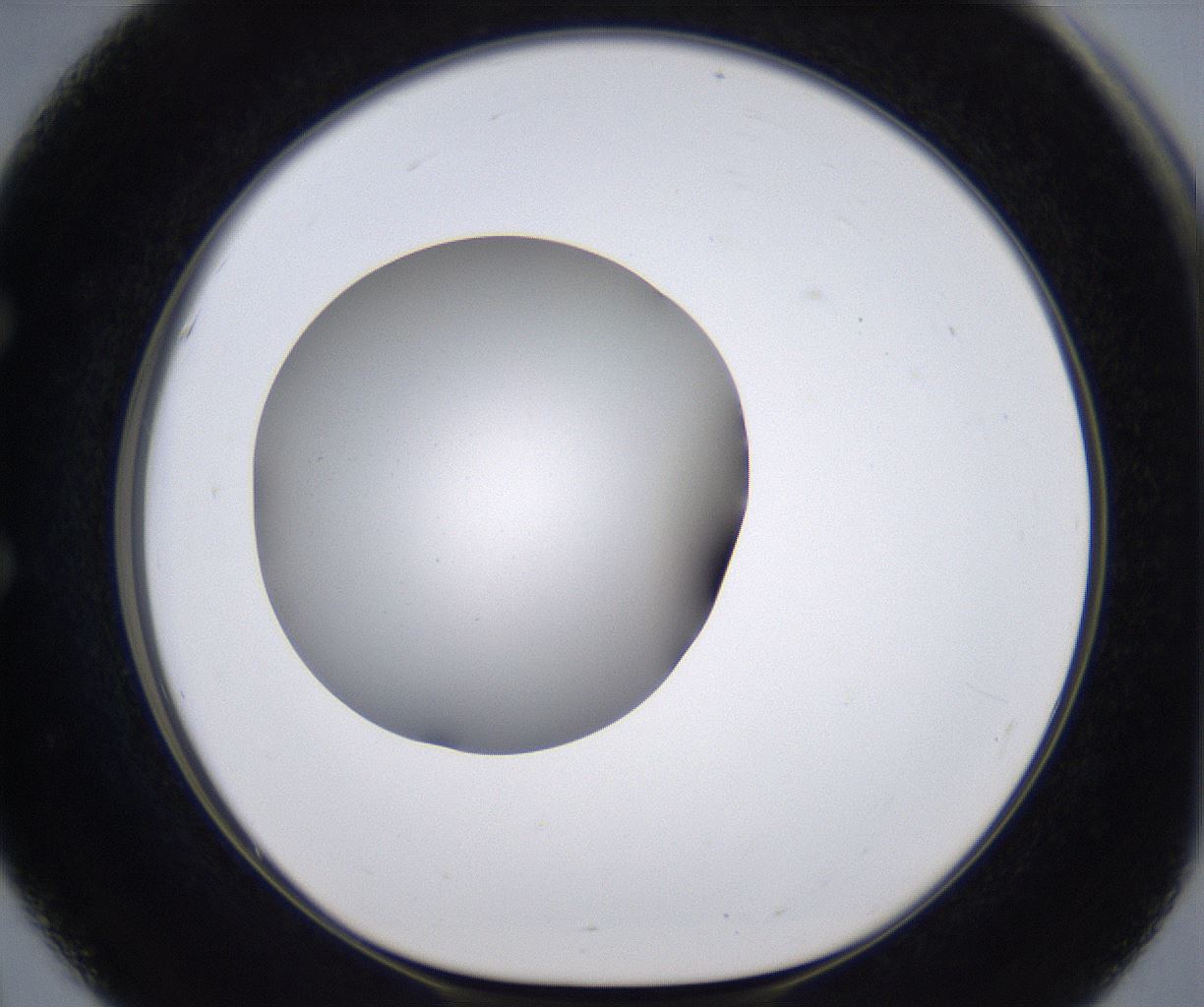 folderID211_plateID2211_batchID10045_wellNum51_profileID1_d1_r150427_ef.jpg