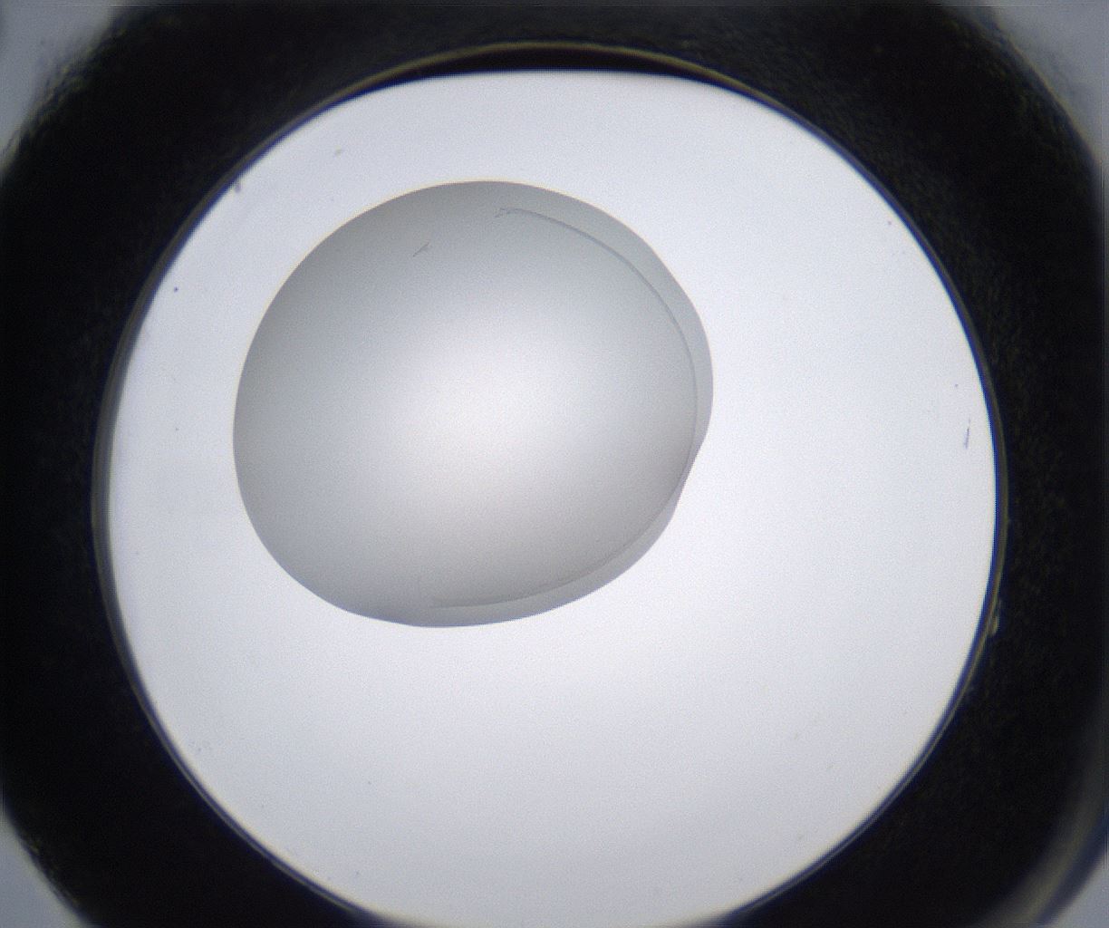 folderID211_plateID2211_batchID10045_wellNum64_profileID1_d2_r150454_ef.jpg