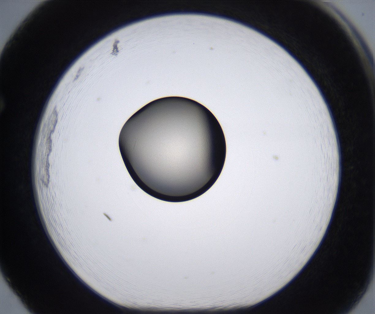 folderID211_plateID2211_batchID10045_wellNum65_profileID1_d1_r150455_ef.jpg