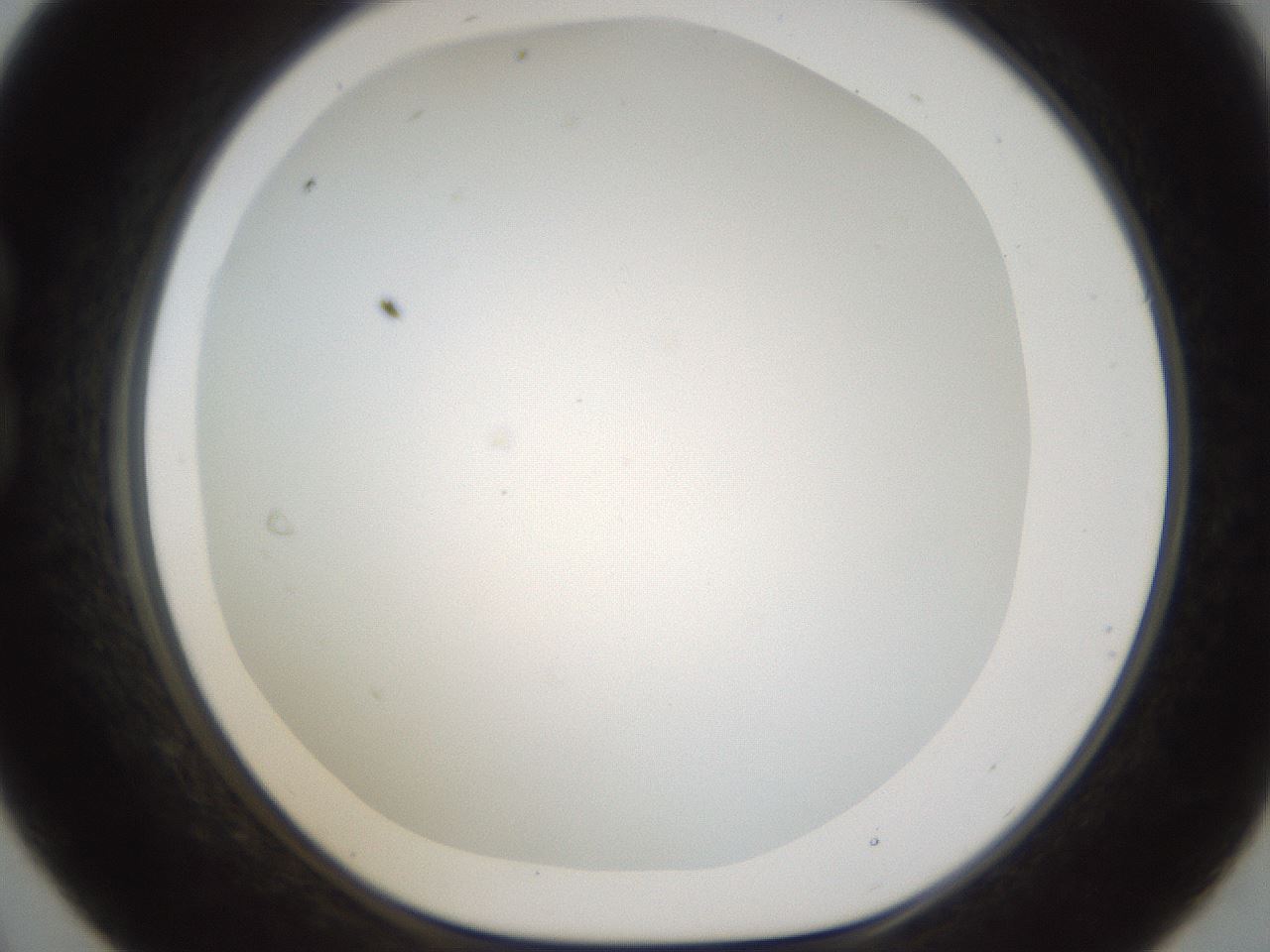 folderID212_plateID1212_batchID3623_wellNum21_profileID1_d1_r68424_ef.jpg