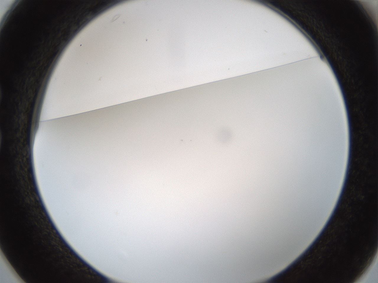 folderID212_plateID1212_batchID3623_wellNum25_profileID1_d1_r68432_ef.jpg