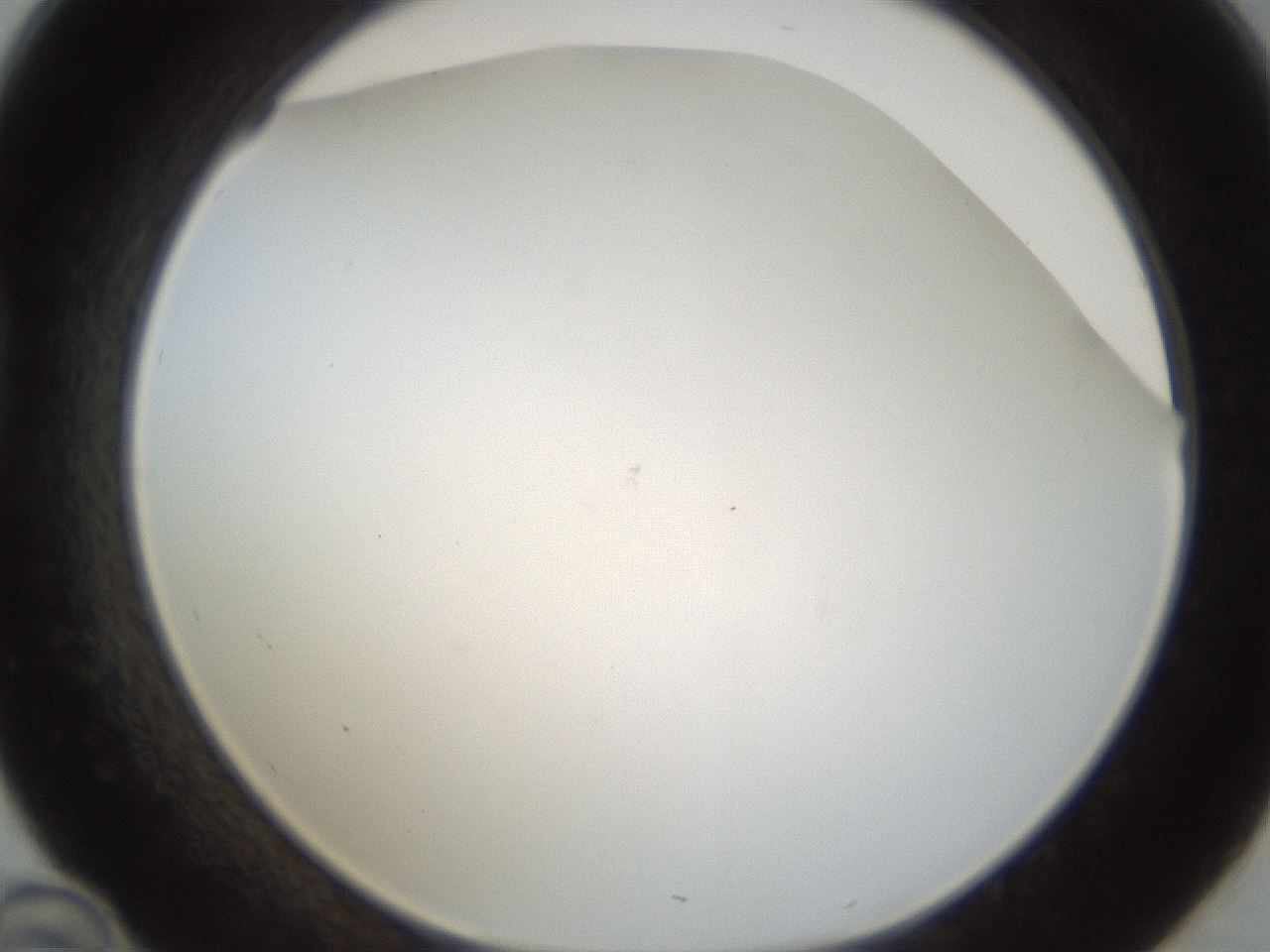 folderID212_plateID1212_batchID3623_wellNum46_profileID1_d1_r68474_ef.jpg