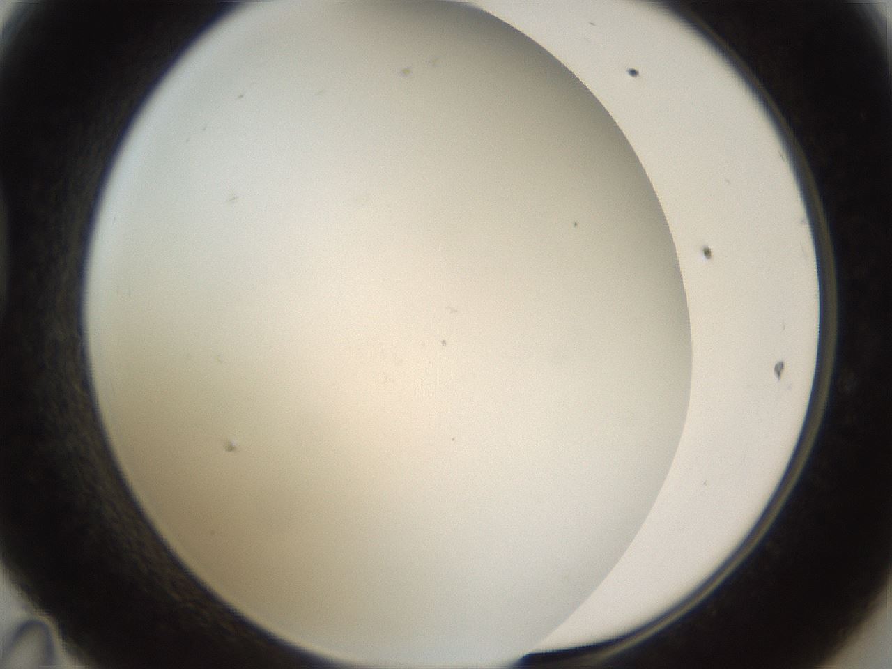 folderID212_plateID1212_batchID3623_wellNum47_profileID1_d1_r68476_ef.jpg