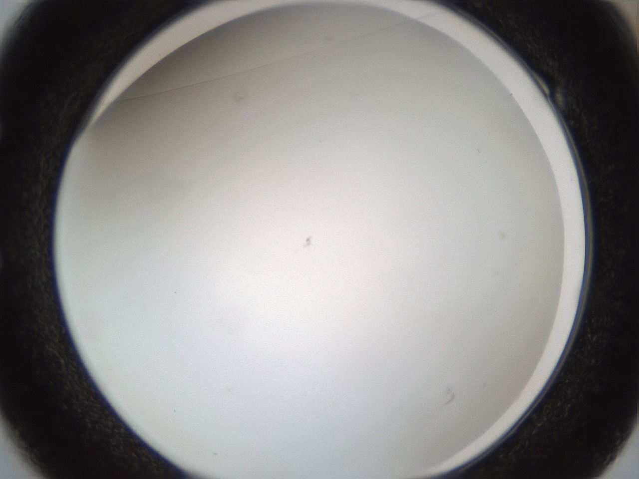 folderID212_plateID1212_batchID3623_wellNum49_profileID1_d1_r68480_ef.jpg