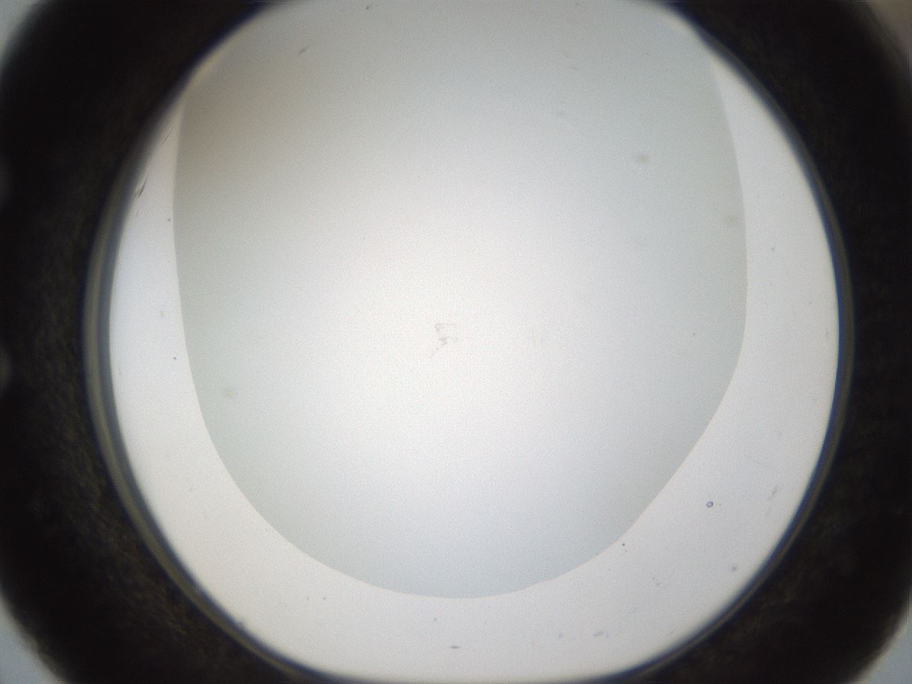 folderID212_plateID1212_batchID3623_wellNum51_profileID1_d1_r68484_ef.jpg