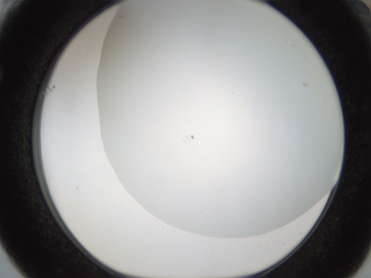 folderID212_plateID1212_batchID3623_wellNum61_profileID1_d1_r68504_ef.jpg