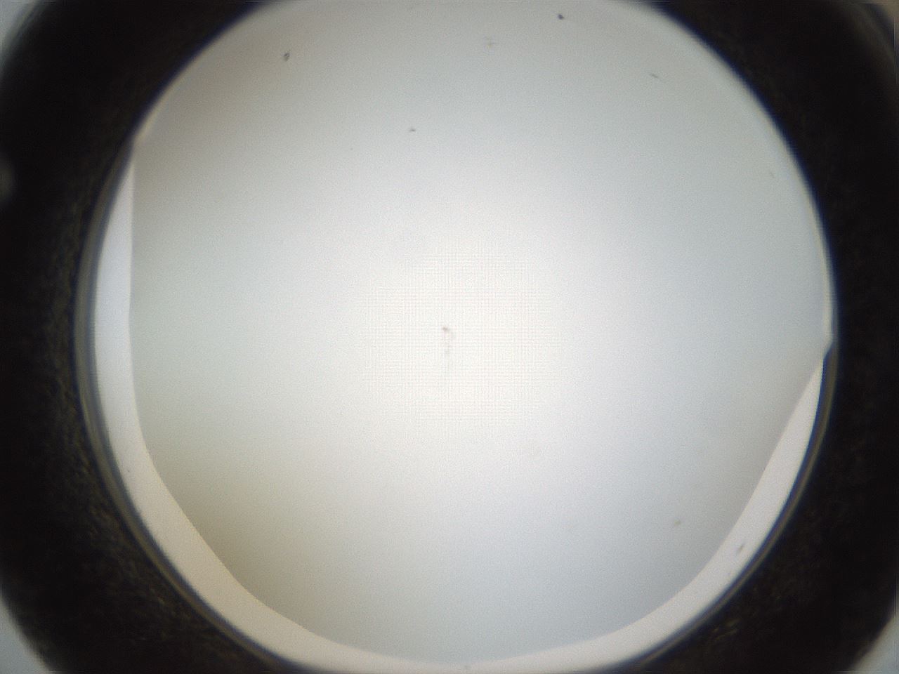 folderID212_plateID1212_batchID3623_wellNum62_profileID1_d1_r68506_ef.jpg
