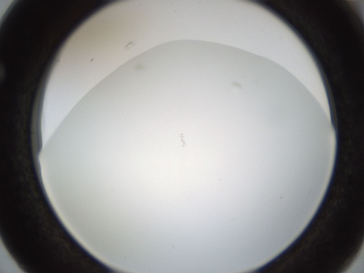 folderID212_plateID1212_batchID3623_wellNum63_profileID1_d1_r68508_ef.jpg