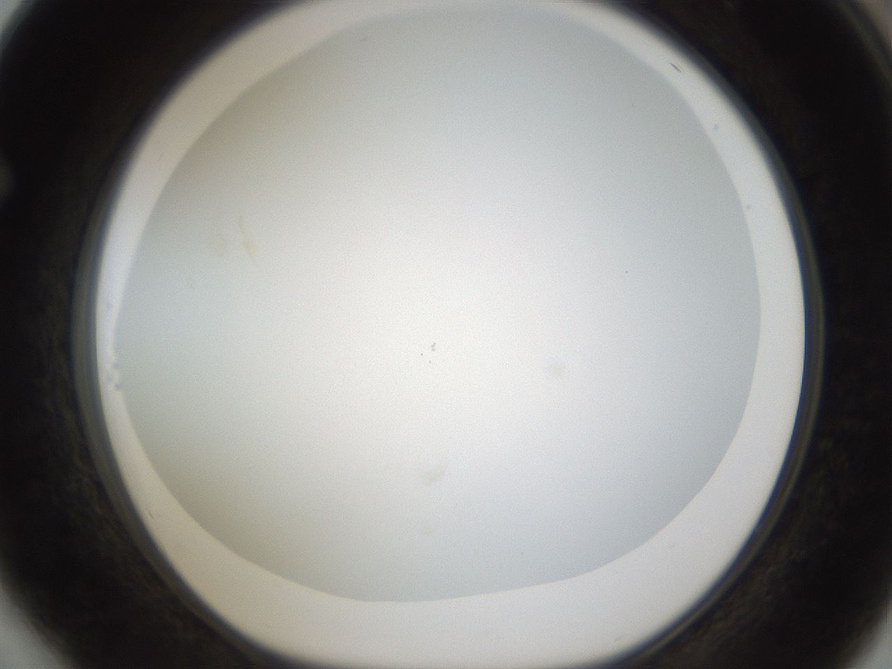 folderID212_plateID1212_batchID3623_wellNum64_profileID1_d1_r68510_ef.jpg