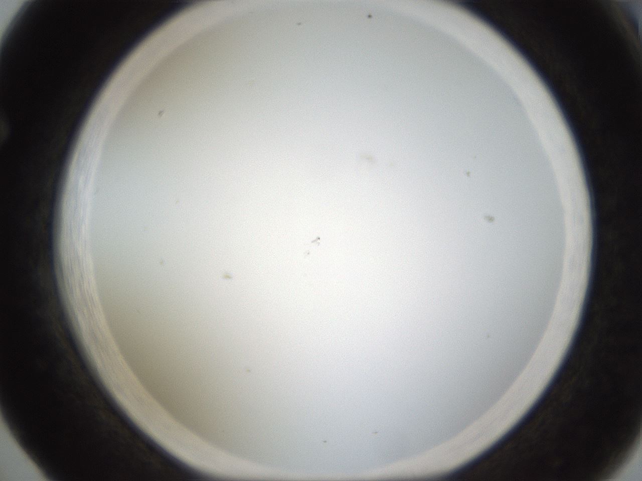 folderID212_plateID1212_batchID3623_wellNum65_profileID1_d1_r68512_ef.jpg