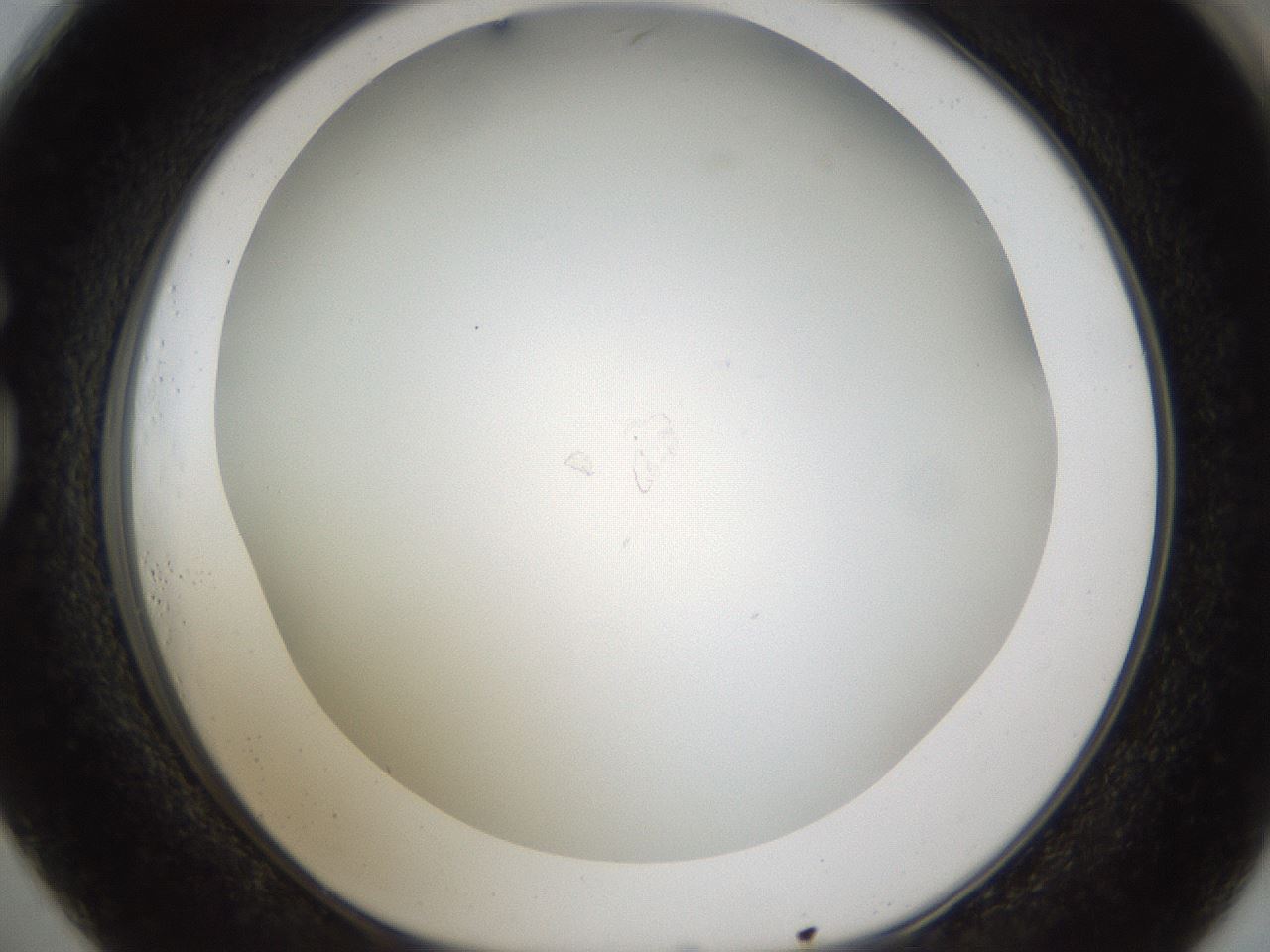 folderID212_plateID1212_batchID3623_wellNum73_profileID1_d1_r68528_ef.jpg