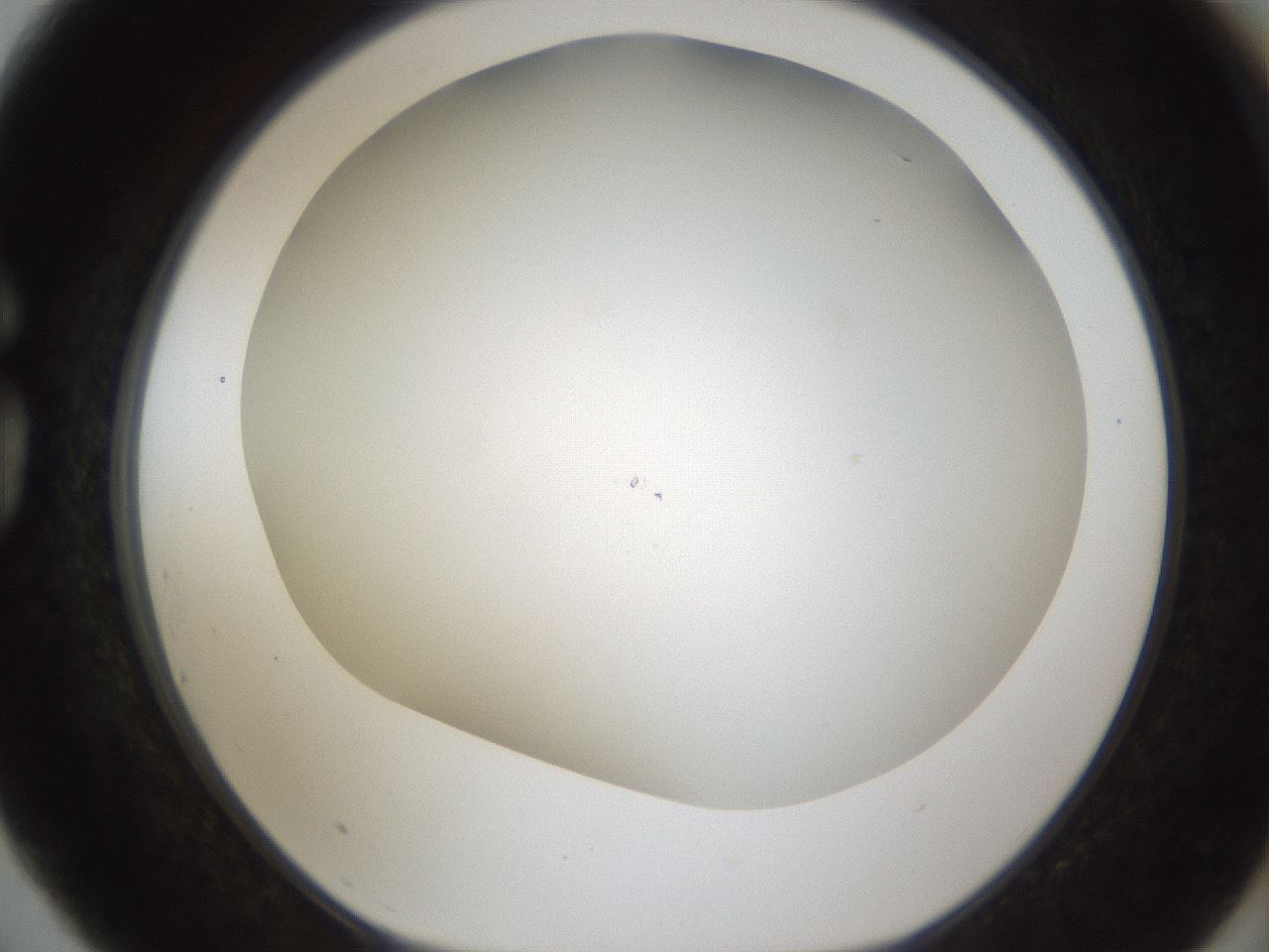 folderID212_plateID1212_batchID3623_wellNum75_profileID1_d1_r68532_ef.jpg