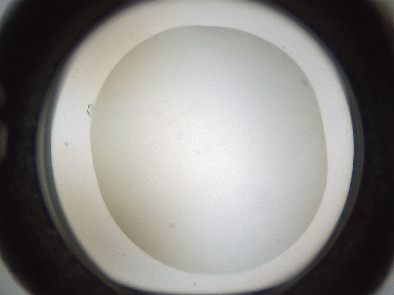 folderID212_plateID1212_batchID3623_wellNum76_profileID1_d1_r68534_ef.jpg