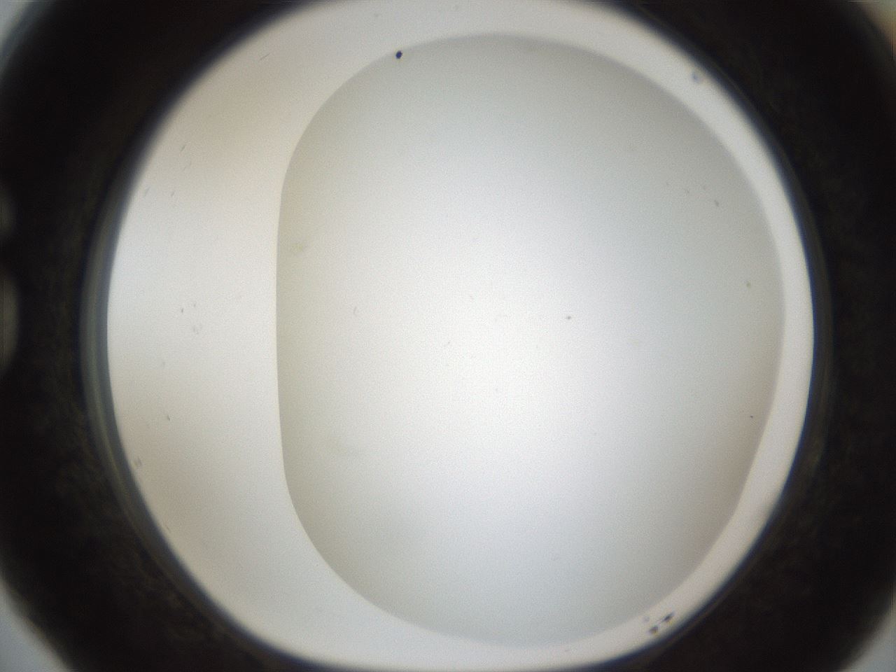 folderID212_plateID1212_batchID3623_wellNum77_profileID1_d1_r68536_ef.jpg