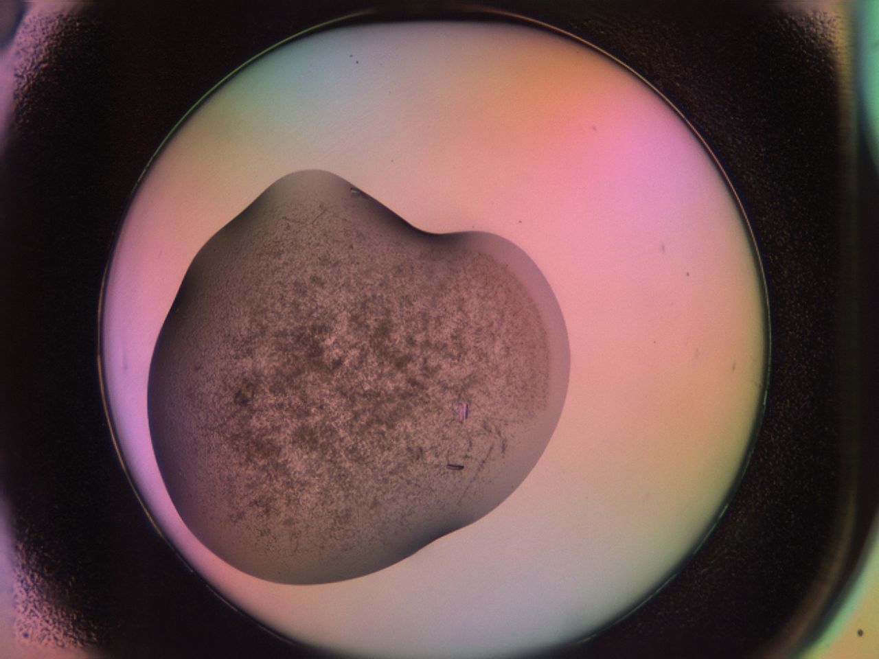 02g2_A6_ImagerDefaults_7.jpg
