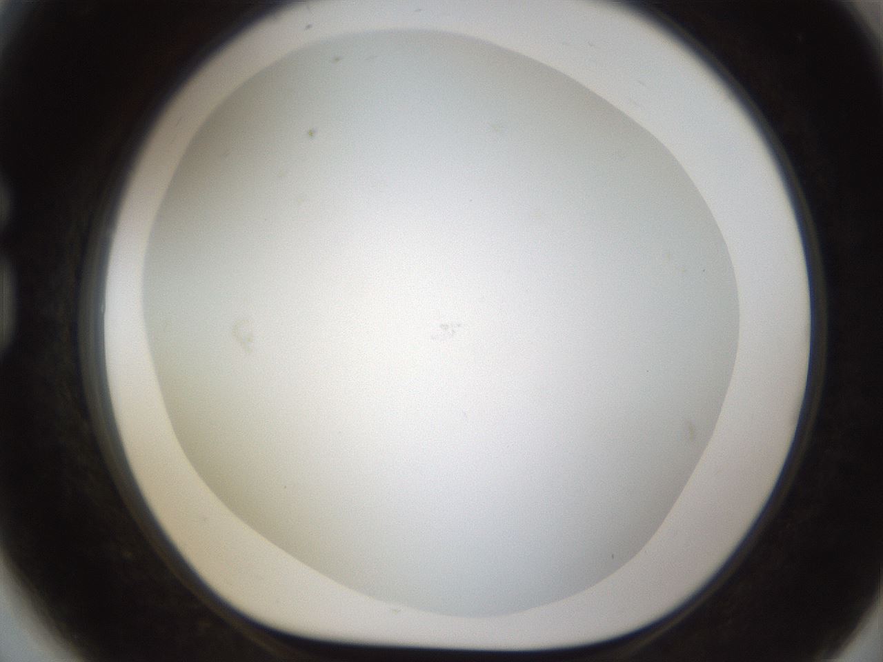 folderID212_plateID1212_batchID3623_wellNum81_profileID1_d1_r68544_ef.jpg