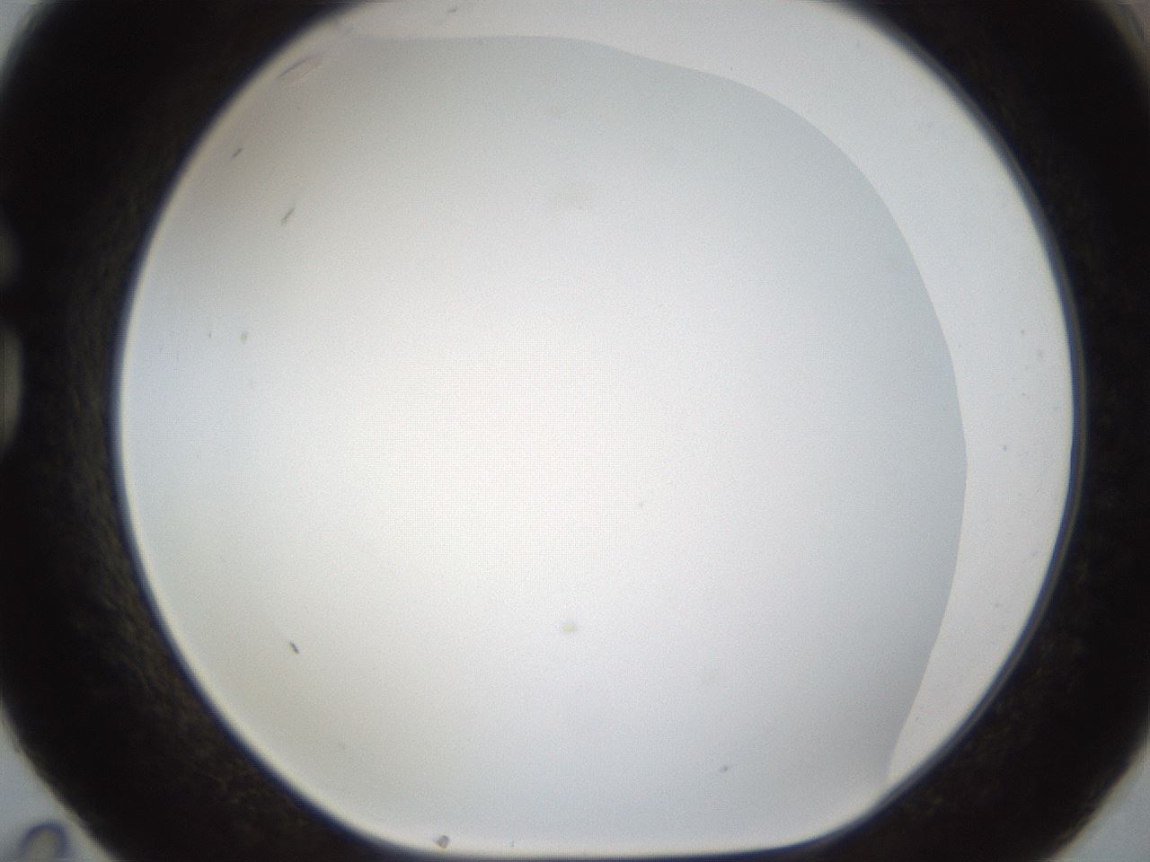 folderID212_plateID1212_batchID3623_wellNum83_profileID1_d1_r68548_ef.jpg