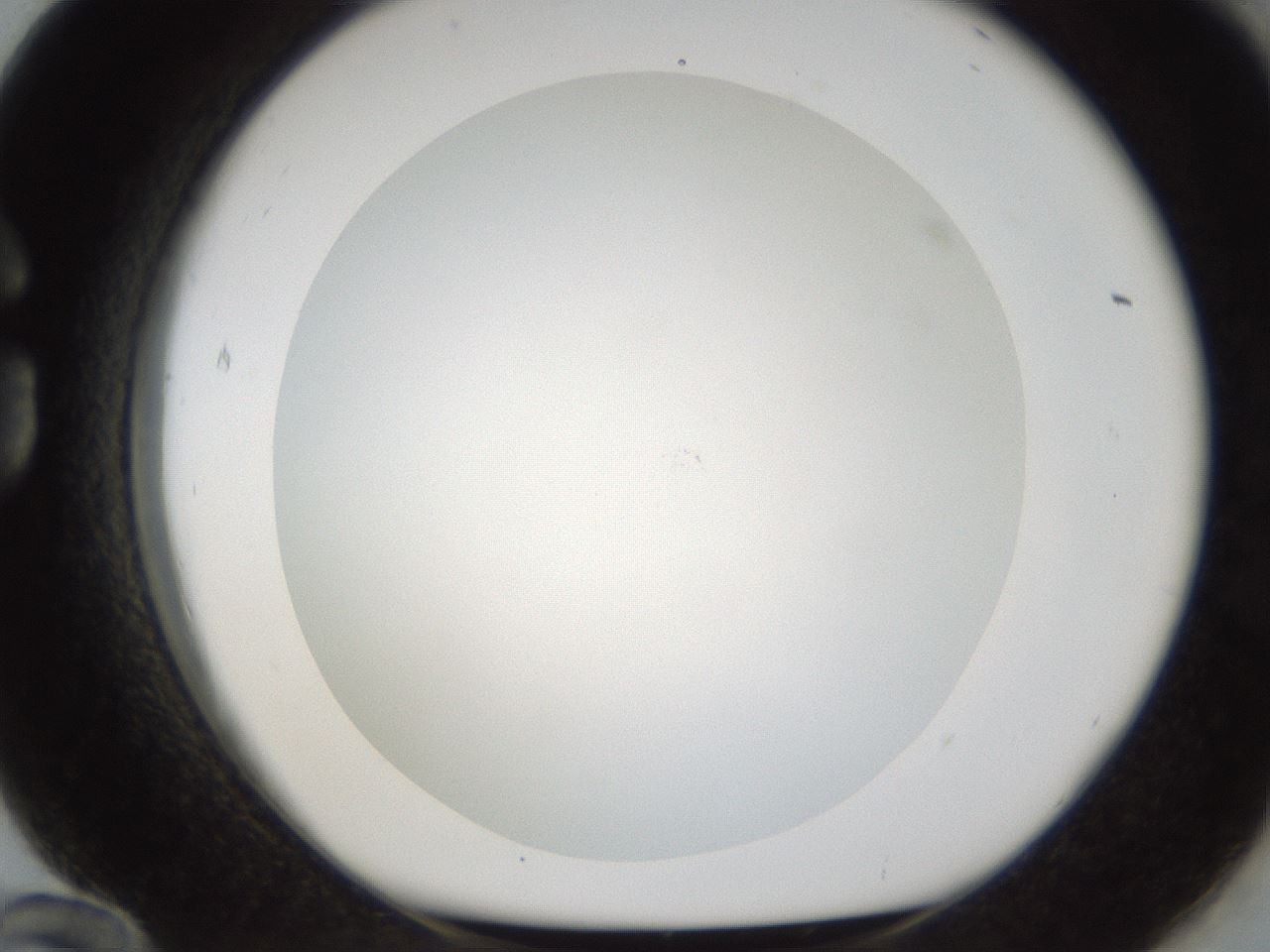 folderID212_plateID1212_batchID3623_wellNum84_profileID1_d1_r68550_ef.jpg