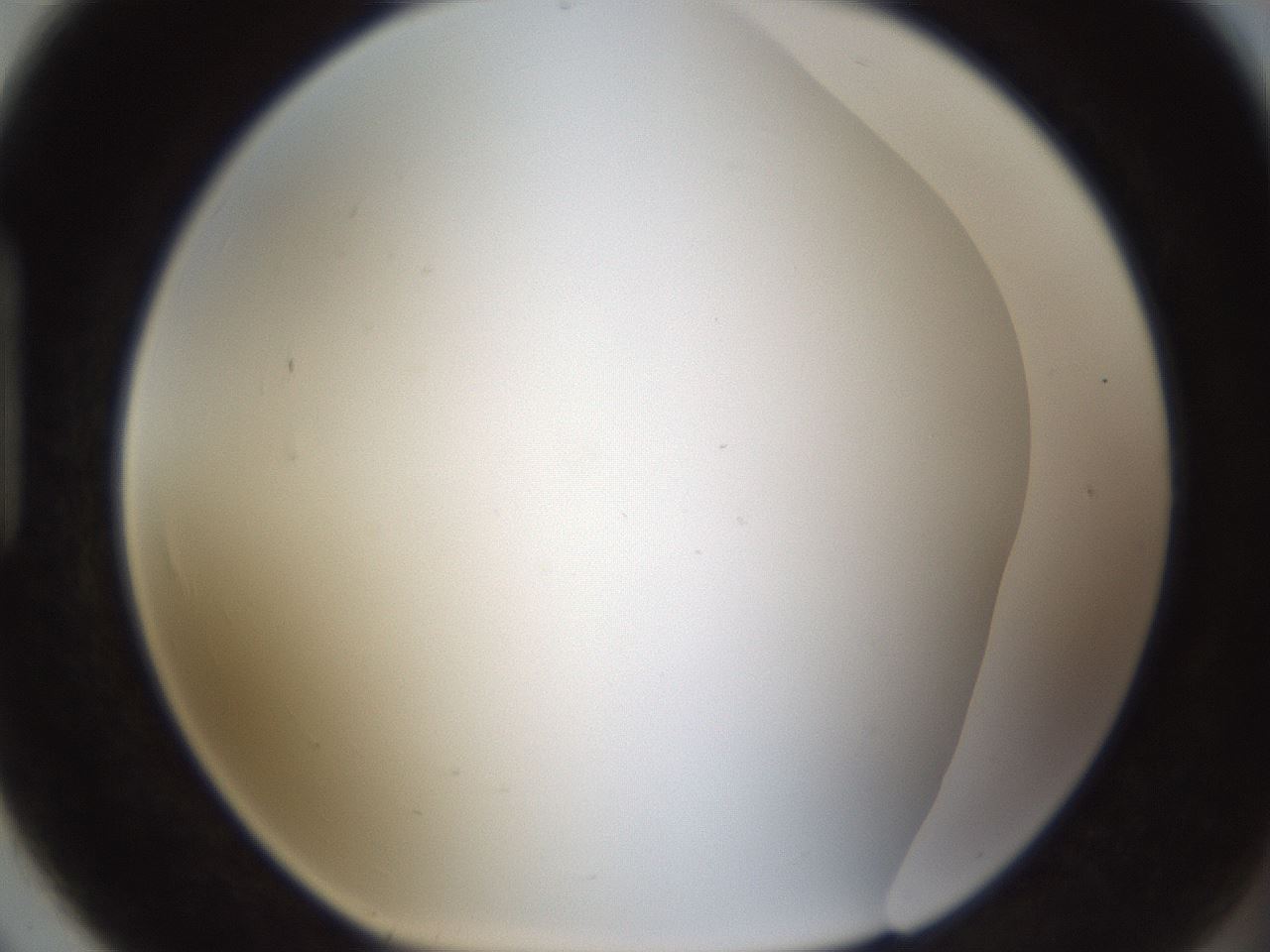 folderID212_plateID1212_batchID3623_wellNum91_profileID1_d1_r68564_ef.jpg