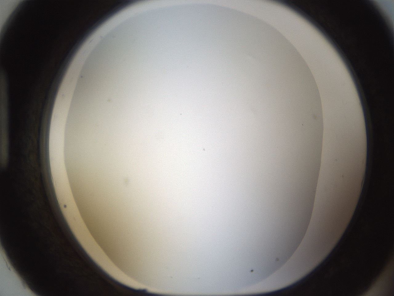 folderID212_plateID1212_batchID3623_wellNum93_profileID1_d1_r68568_ef.jpg