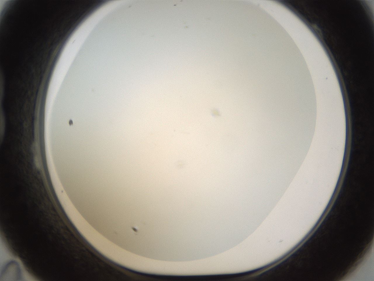folderID212_plateID1212_batchID3657_wellNum23_profileID1_d1_r68428_ef.jpg