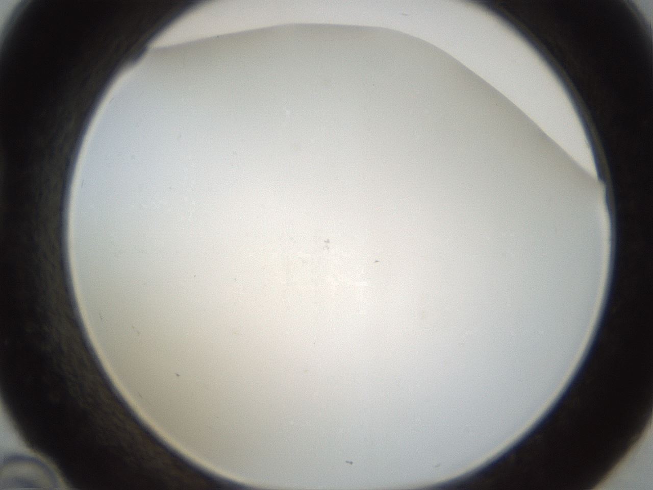 folderID212_plateID1212_batchID3657_wellNum46_profileID1_d1_r68474_ef.jpg