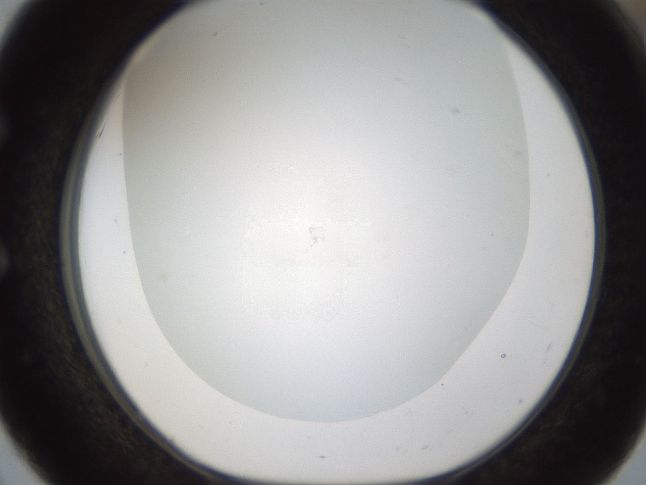 folderID212_plateID1212_batchID3657_wellNum51_profileID1_d1_r68484_ef.jpg