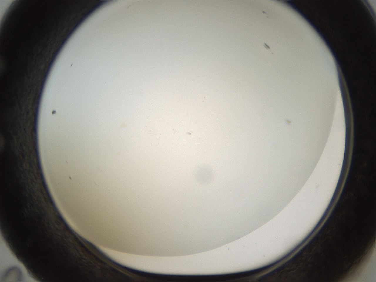 folderID212_plateID1212_batchID3657_wellNum59_profileID1_d1_r68500_ef.jpg