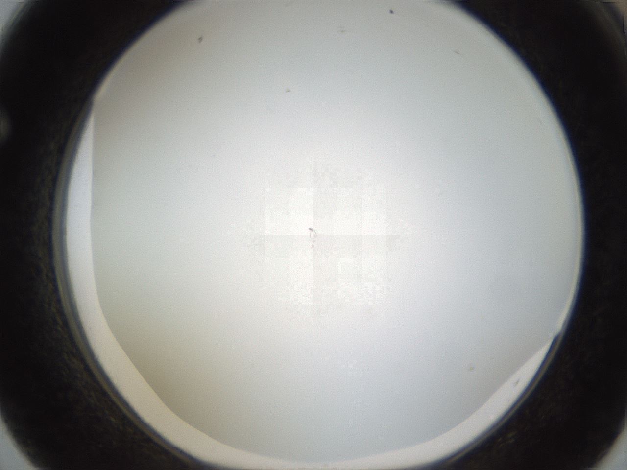 folderID212_plateID1212_batchID3657_wellNum62_profileID1_d1_r68506_ef.jpg