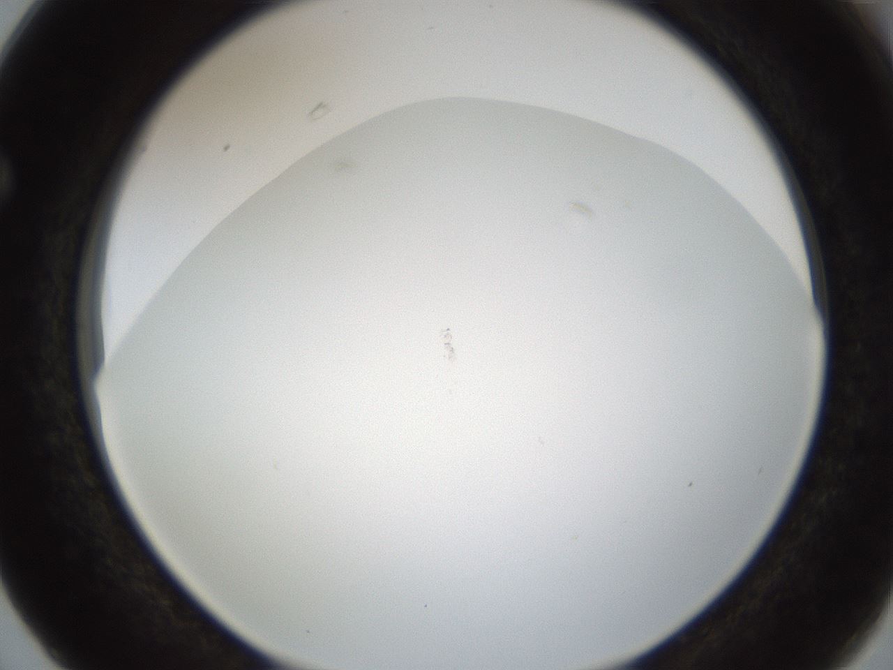 folderID212_plateID1212_batchID3657_wellNum63_profileID1_d1_r68508_ef.jpg